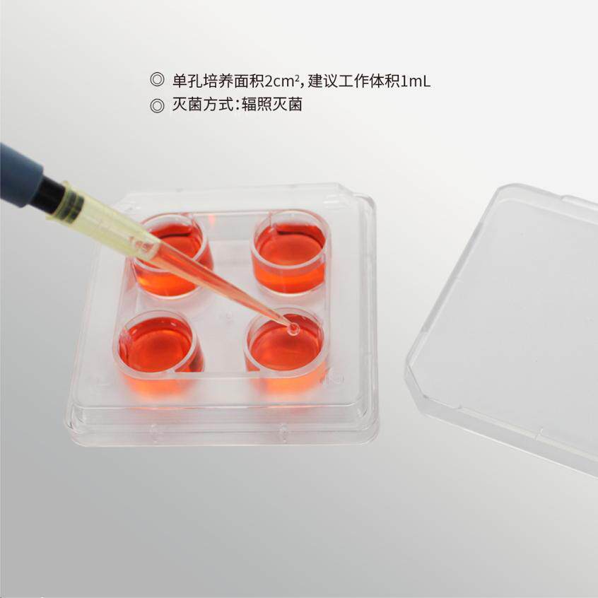 4孔细胞培养板 TC处理 独立包装 平替thermo nunc 176740