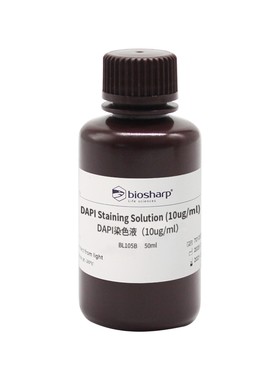 BS家 BL105B DAPI溶液(即用型)