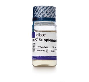 044 17504 gibco 27添加剂 10ml LIFE
