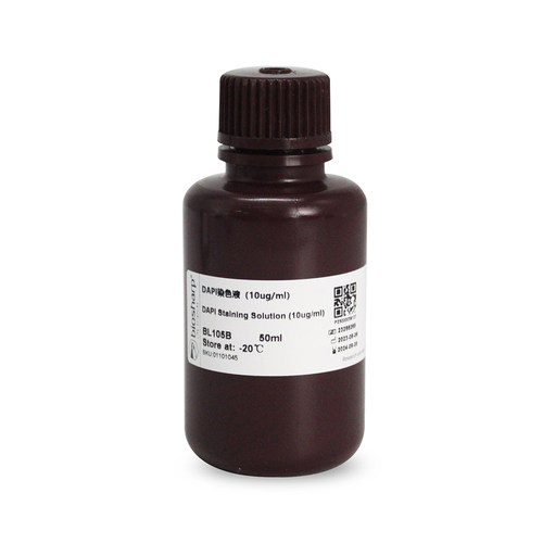 Biosharp/白鲨 BL105B DAPI溶液(即用型) 50ml