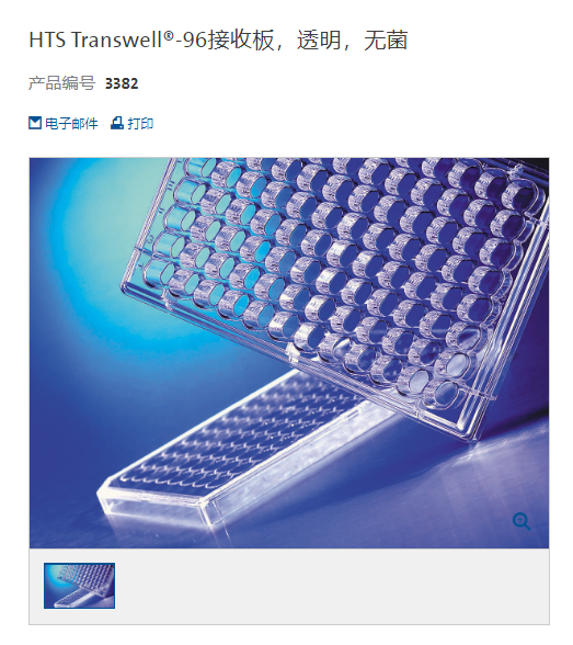 康宁Corning HTS Transwell 接收板 适用96孔细胞培养小室板 3382