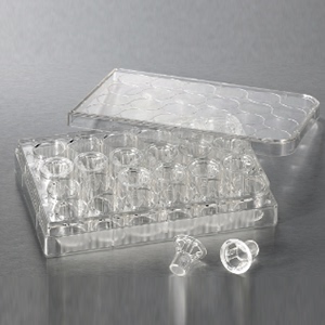 康宁3464 8.0um孔径 Transwell-24膜嵌套 透明 6.5mm膜直径 PE膜