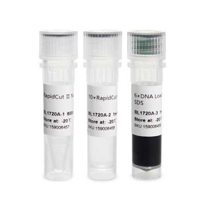 BL1720A RapidCut Ⅱ NcoI 快速限制性内切酶