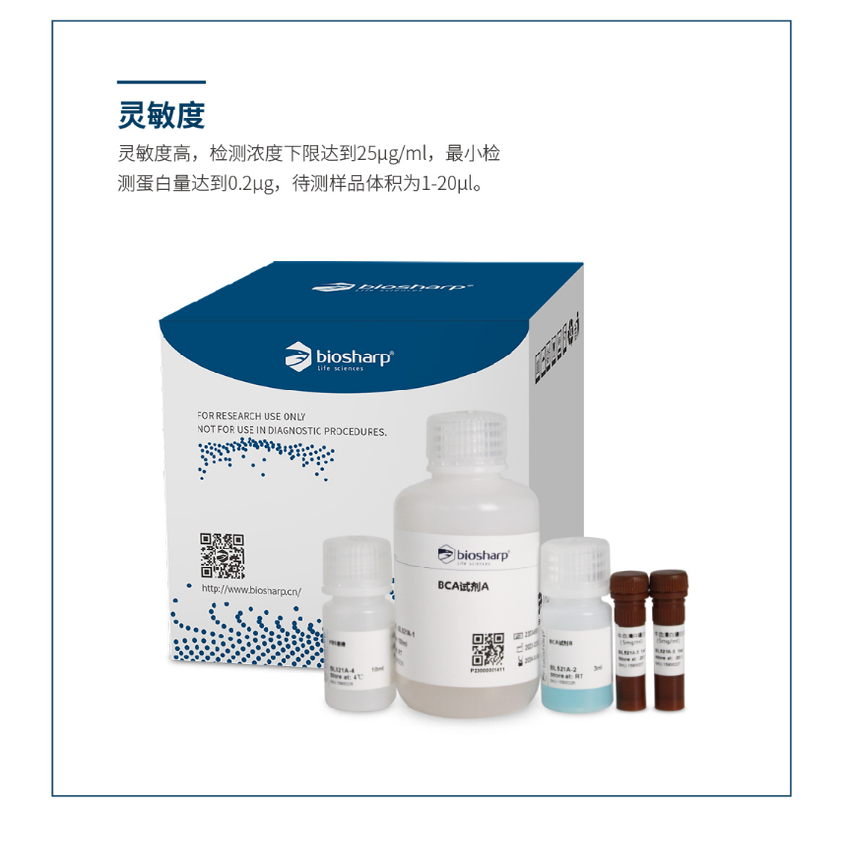 特价Biosharp BL521A BCA蛋白浓度测定试剂盒 200T