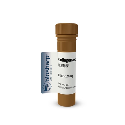 BS163-100mg 胶原酶I型Collagenase I 2-8度  平替Gibco17100-017