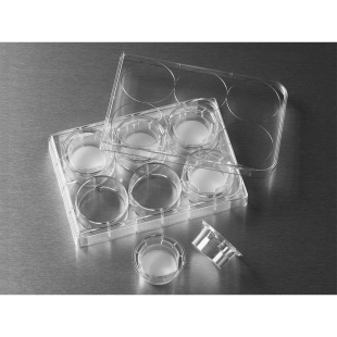 Corning Transwell嵌套含6孔板 PC膜24mm孔徑3.0um 康寧 3414