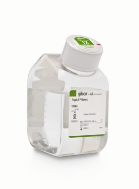 GIBCO 12563-029 TrypLE Select 酶 (1X) 无酚红 500ml