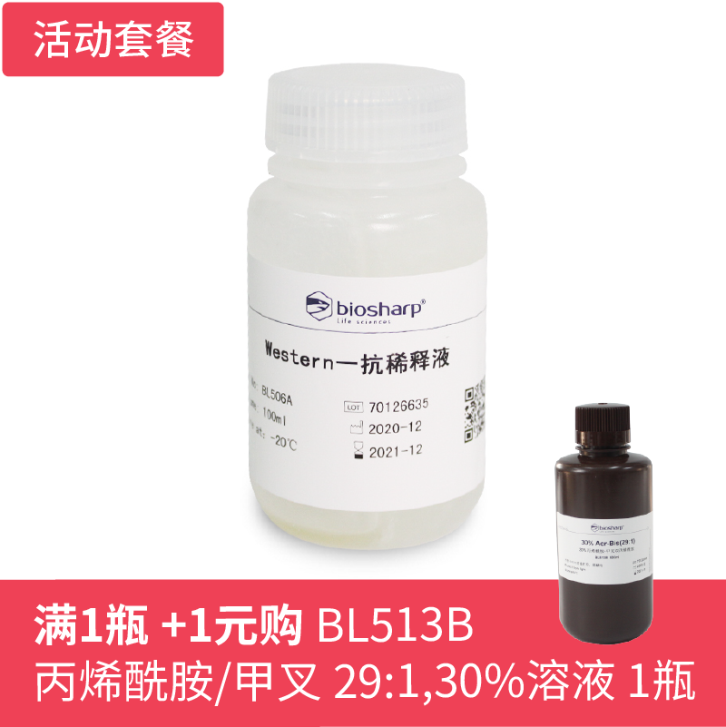 Biosharp BL506A Western一抗稀释液 100ml