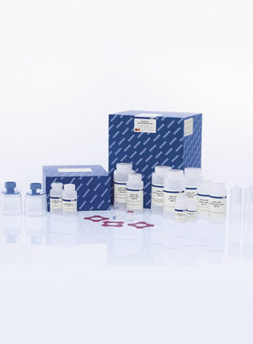 Qiagen 12362 去内毒素质粒大提试剂盒