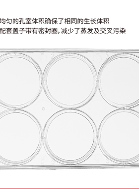 国产 6孔细胞培养板多聚-D-赖氨酸包被表面替换BD Biocoat 354413