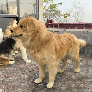 一比一大型真皮仿真狗狗狼狗哈士奇藏獒模型摄影道具展厅橱窗摆件