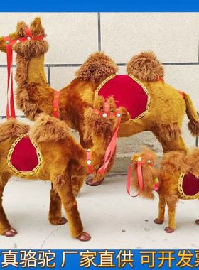 驼奶店摆件室内装饰品仿真骆驼