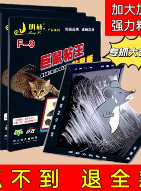 超强家用粘鼠板强力胶老鼠粘大号捕鼠神器商用款加厚高粘度老鼠贴