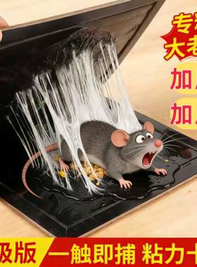 粘鼠板强力胶粘大老鼠家用老鼠贴