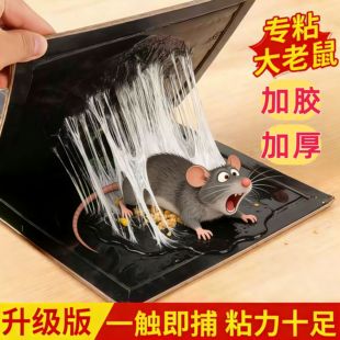 超强家用粘鼠板强力胶粘大老鼠仓库厨房商用加大加厚高粘度老鼠贴