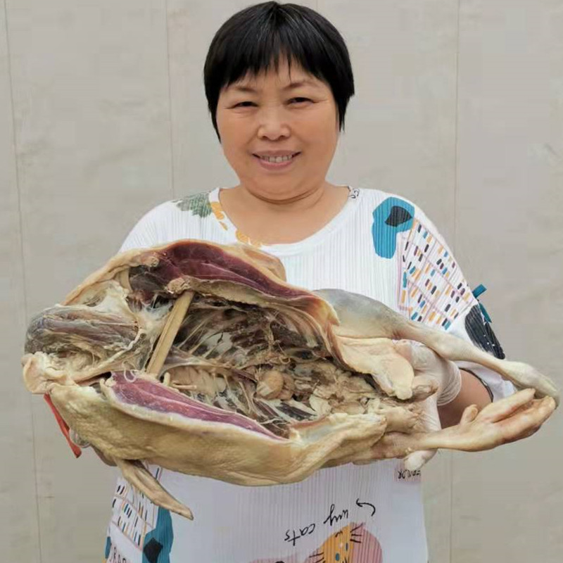 溧阳咸鹅风味老鹅农家腌制林地散鹅肉/鹅肉制品