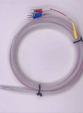 PT100 铁氟龙防水耐酸碱探头 传感器 2米