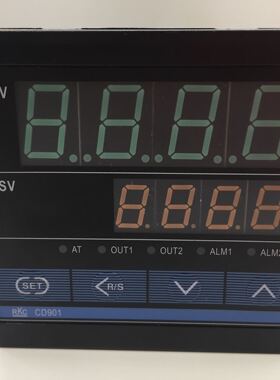 RKC CD901FK02-V*AN-NN智能温控仪220v自动温度控制器开关pid可调