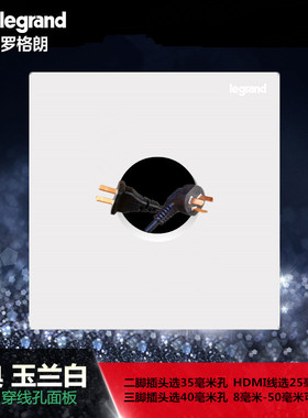 罗格朗玉兰白色穿线孔面板HDMI电视线进出线多孔面板墙洞遮丑盖板