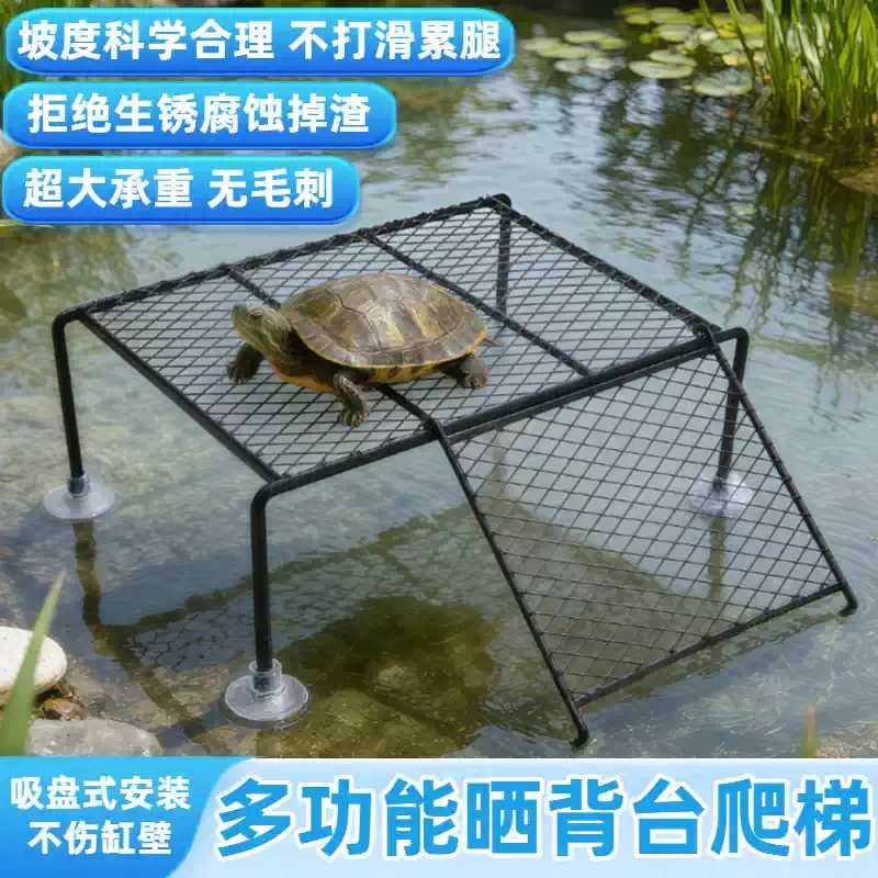 乌龟晒背台乌龟缸晒台爬坡乌龟爬台乌龟休息台芦丁鸡仓鼠爬梯晒台