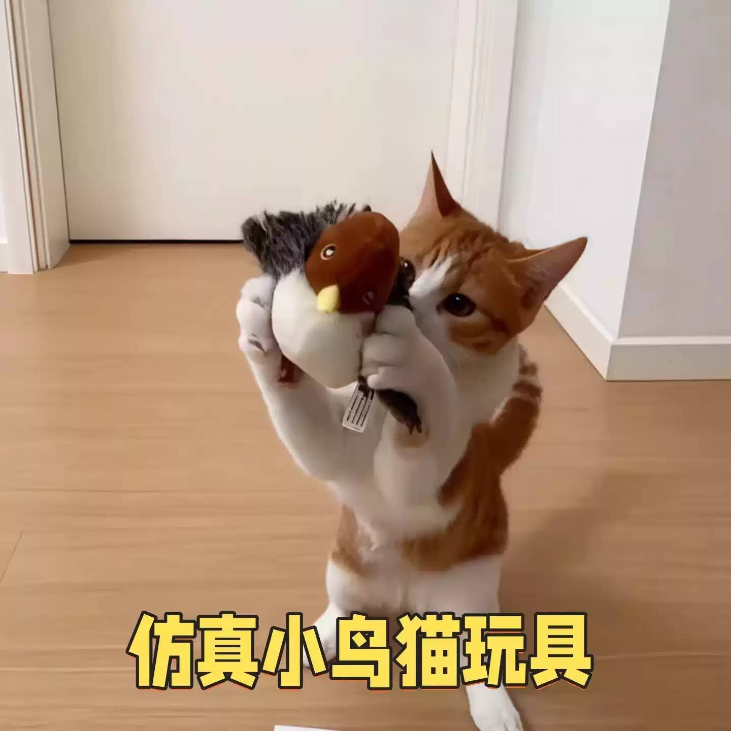 会飞的小鸟猫咪玩具自嗨解闷消耗体力神器宠物捕猎逗猫棒啃咬会叫