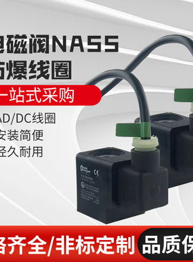 0513 00.1防爆线圈NASS原装正品108-030/1213 00.1