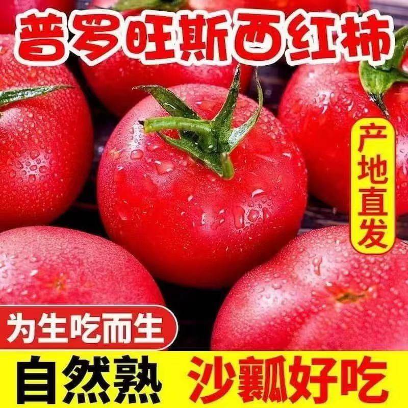 泾阳正宗陕西普罗旺斯水果西红柿番茄自然生吃沙瓤新鲜现摘蔬菜,水产肉类/新鲜蔬果/熟食,番茄,淘宝优惠券,粉丝福利购,淘宝优惠卷