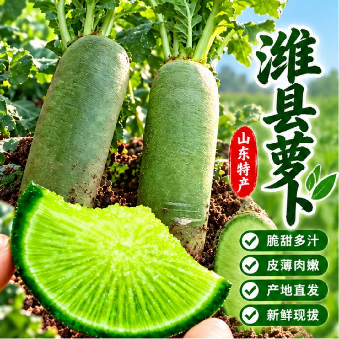 正宗山东潍坊水果萝卜生吃潍县萝卜青冰淇淋凤梨萝卜甜脆现摘批发
