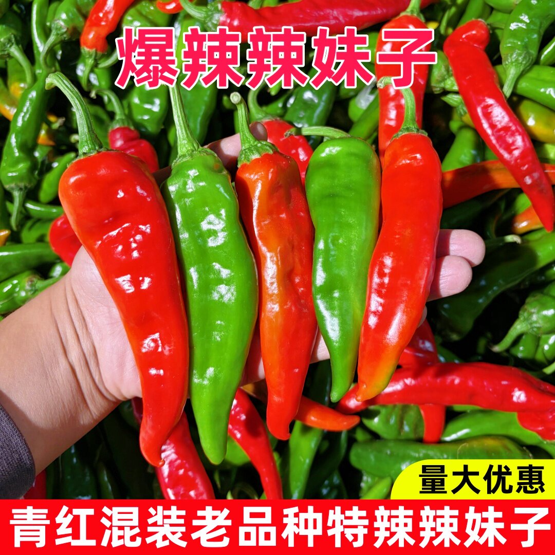 【青红混装】辣妹子精辣妹子青红辣椒特辣红尖椒红泡椒新鲜辣椒酱