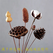 天然干花束永生花尤加利棉花松果莲蓬diy永生花材料家居装 饰摆件