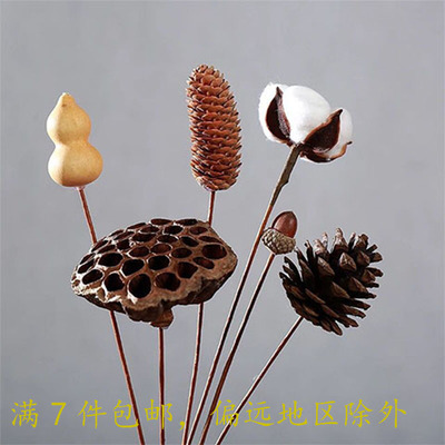 diy天然尤加利材料家居装饰