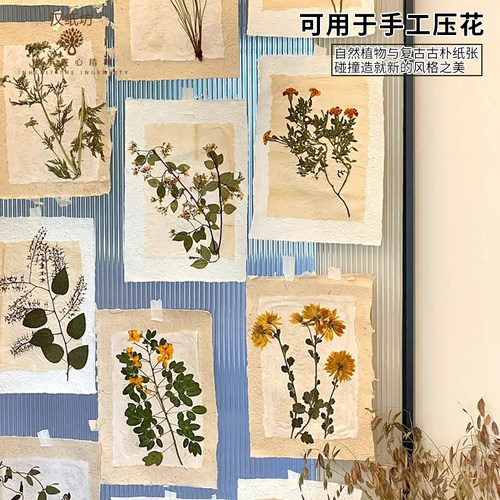 东巴纸手工制作植物压花干花书签