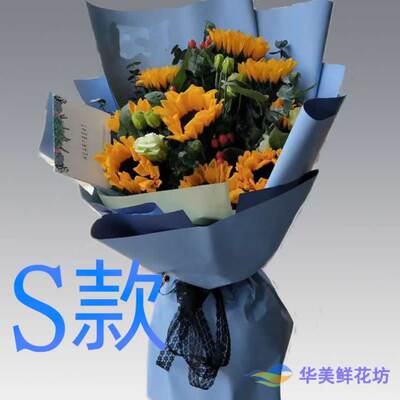 生日慰问康乃馨河北张家口花店送花尚义县蔚县阳原县同城鲜花快递