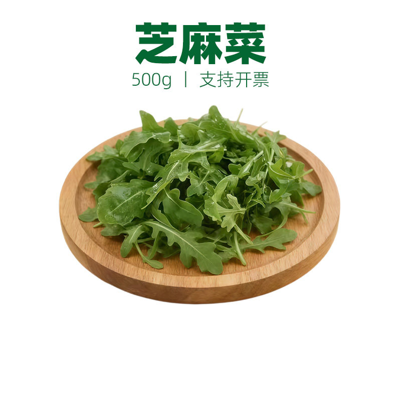 芝麻菜新鲜生菜食用火箭菜