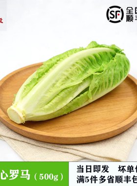 包心罗马生菜500g 罗纹凯撒生菜 黄心罗马嫩罗马生菜