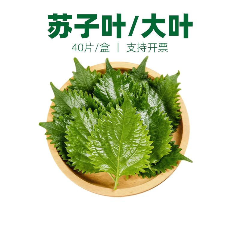 新鲜紫苏叶 苏子大叶40片韩餐日料烧烤寿司包饭刺身西餐摆盘装饰