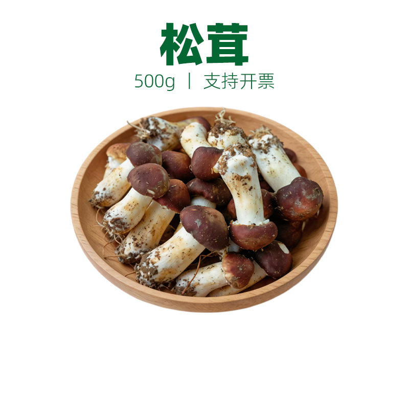 新鲜松茸野生菌云南特产出口级香格里拉不开伞特级食用菌菇