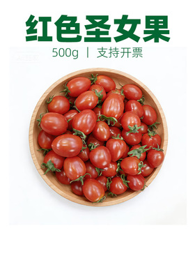 新鲜红色小番茄小西红柿新鲜水果蔬菜红圣女果蔬菜沙拉食材