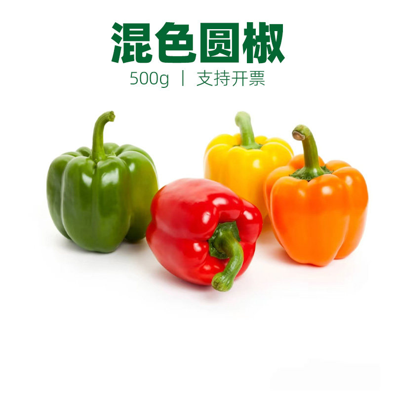 混色彩椒混色圆椒甜椒沙拉蔬菜食材生吃水果椒灯笼椒太空椒柿子椒