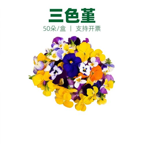 三色堇可食用鲜花花草摆盘装饰