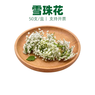 新鲜雪珠花 蕾丝花 白色小花酒店西餐日料摆盘冷菜蛋糕点缀装饰