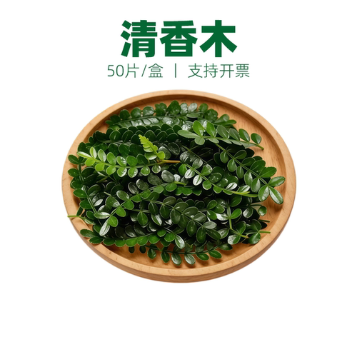 胡椒木叶清香木摆盘装饰花草