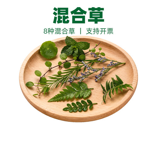 新鲜什锦混合叶摆盘装饰