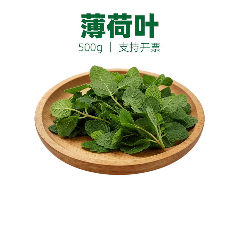 食用薄荷叶冷菜烘焙调酒摆盘