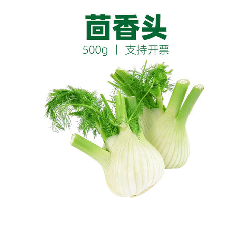 茴香菜蔬菜茴香头香料西餐配料