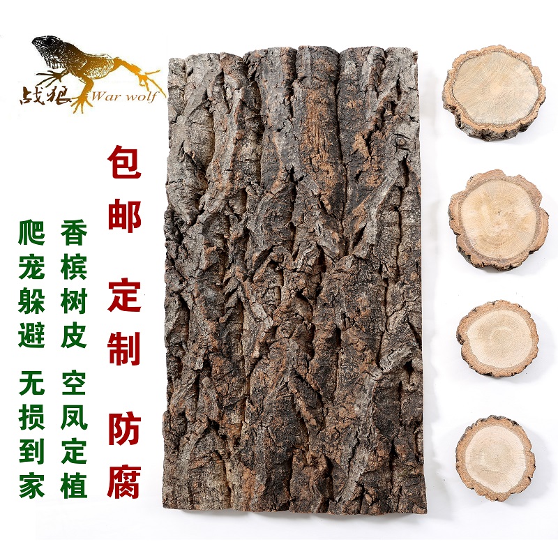 天然真树皮香槟树皮树桩空气凤梨底座支架爬宠躲避水陆缸背景板