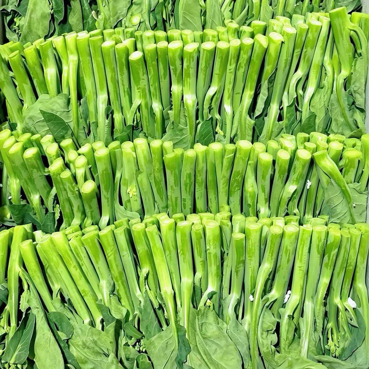 新鲜芥兰菜顺丰冷链包邮