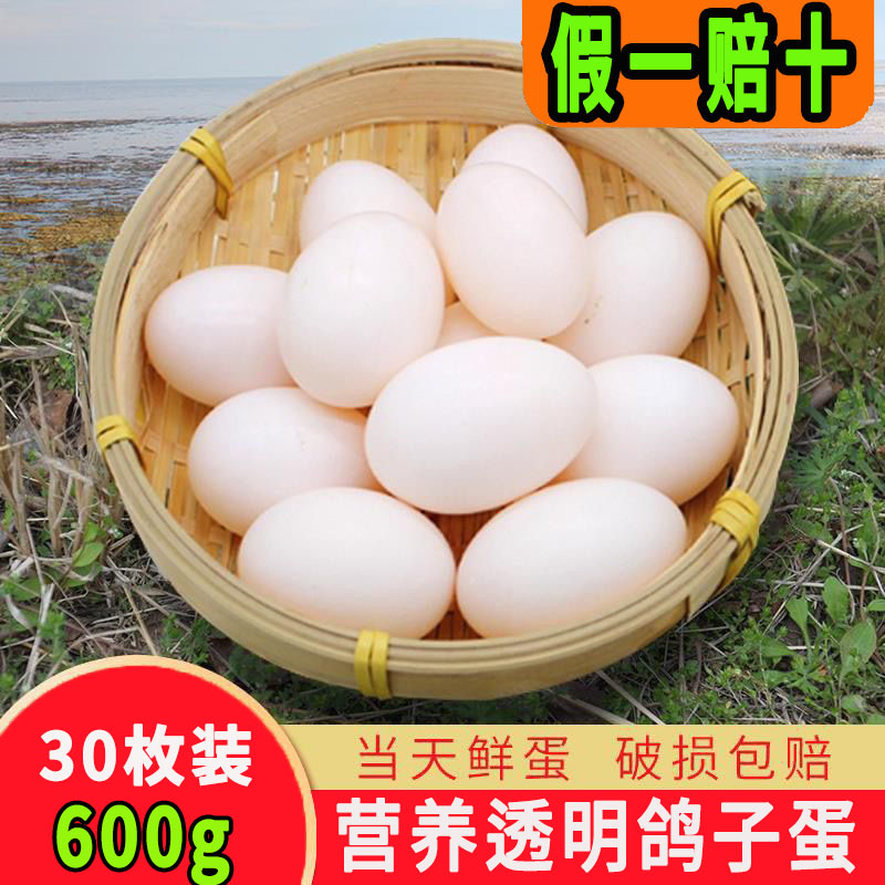 新鲜农家鸽子蛋透明蛋白假货包赔