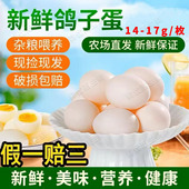 30枚精选当日新鲜鸽子蛋五谷杂粮农家喂养孕妈宝宝辅食土鸽蛋 包邮