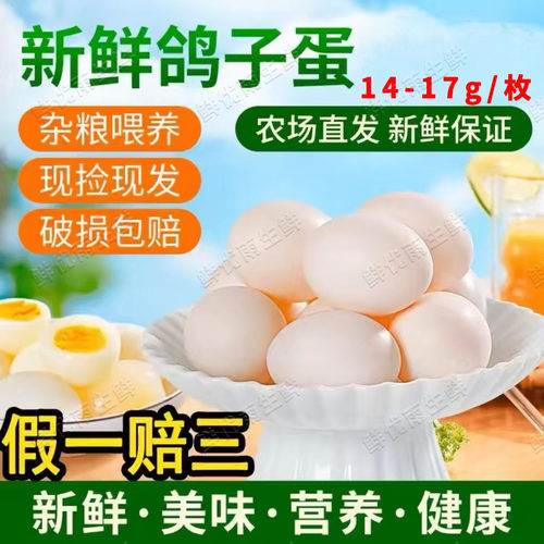 新鲜鸽子蛋30枚破损坏蛋包赔包邮
